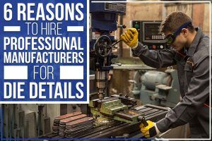 Read more about the article 6 Reasons To Hire Professional Manufacturers For Die Details